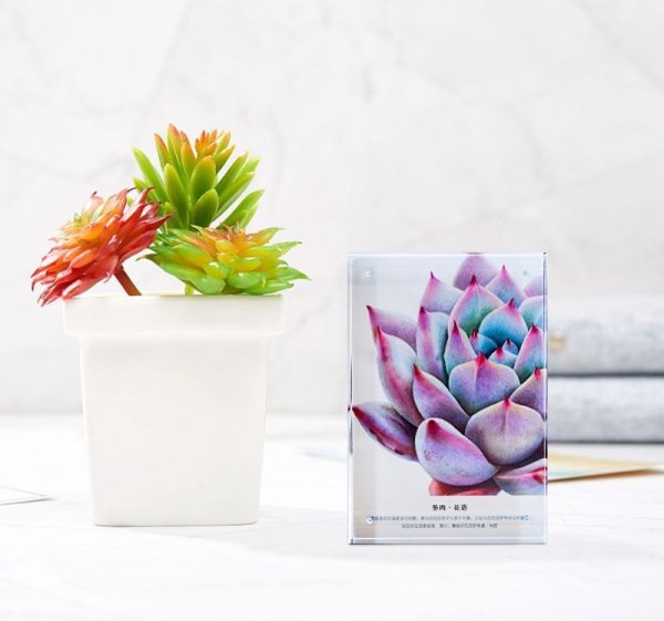 画像13: 【KODAK】アクリル写真立てキット クリスタルブロック KGサイズ (13)