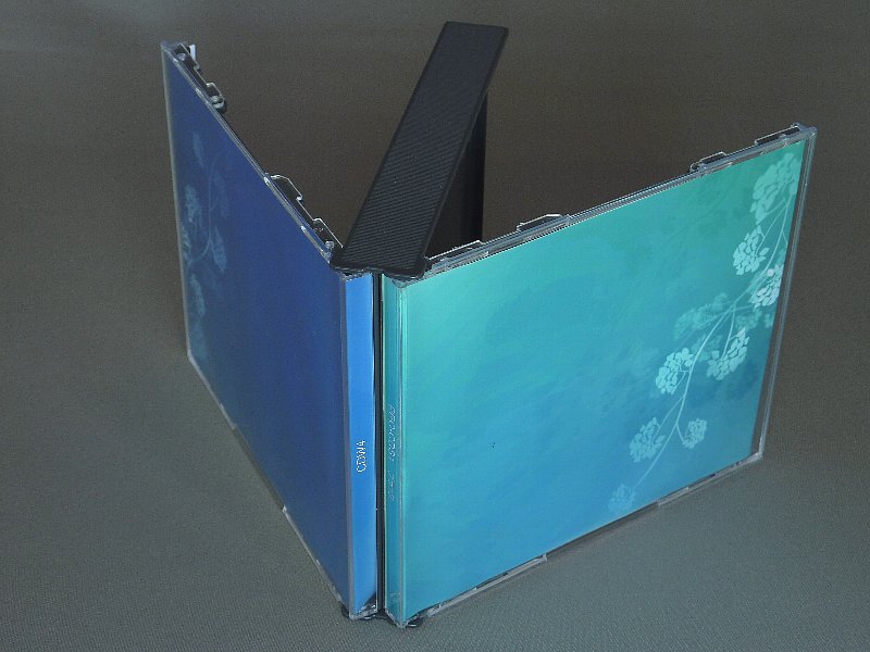 日本製 Cdジュエルケース4枚用ダブルサイズ100個セットcdw4 100 Cdケース